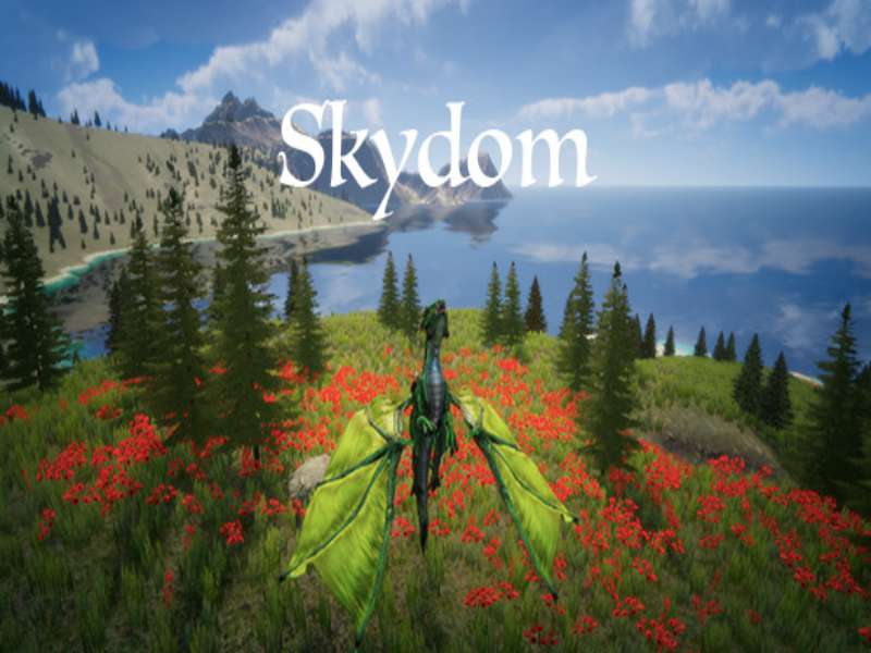Download Skydom Game PC Free