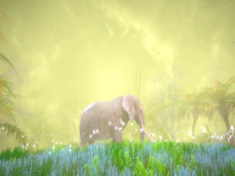 Hidden Treasures in the Forest of Dreams Highly Compressed Free Download
