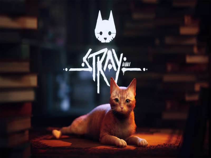 Download Stray Game PC Free